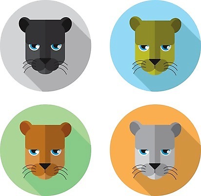 EPS 해외이미지 오렌지 일러스트 머리 검은색 흰색 호랑이 플랫 숲 사자 육식동물 표범 해외202004 해외일러스트 동물 컬러 과일 포유류 신체부위 파일형식 벡터 이미지허브