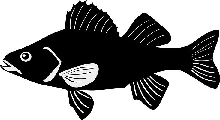 EPS 해외이미지 디자인 실루엣 야생동물 음식 스포츠 바다 일러스트 자연 낚시 건강 어류 앉기 물 강 검은색 해산물 사인 민물 해외202004 해외일러스트 자연요소 동물 컬러 모션 레저 촬영기법 수중동물 생태계 파일형식 벡터 이미지허브