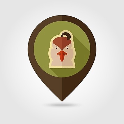 JPG EPS 해외이미지 한마리 일러스트 사람없음 농장 위치 꿩 해외202004 해외일러스트 1 농업 조류 파일형식 벡터 이미지허브