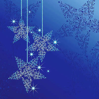 EPS 해외이미지 디자인 계절 행복 별 리본 백그라운드 크리스마스 겨울 패턴 일러스트 공 벽지 추상 휴가 새해 파란색 파티 우주 축제 기쁨 흰색 축하 인사 신용카드 눈송이 야간 그늘 12월 여의주 폭설 해외202004 해외일러스트 자연요소 기념일 감정 컬러 컨셉 무늬 눈_날씨 이벤트 금융 예절 날짜 자연재해 파일형식 벡터 이미지허브