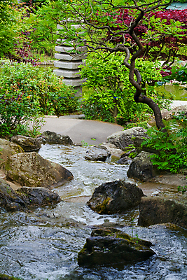 포토 JPG 해외이미지 나무 식물 선 백그라운드 잎 모션 자연 산 이끼 풍경 사람없음 야외 세로 초록색 물 여름 강 태양 평화 환경 정원 일본 화목 봄 폭포 흐름 바위 나뭇가지 연못 개울 숲 속도 내추럴 삼림지대 생태학 해외202004 해외포토 자연요소 계절 교육 아시아 컬러 컨셉 돌_바위 생태계 파일형식 이미지허브