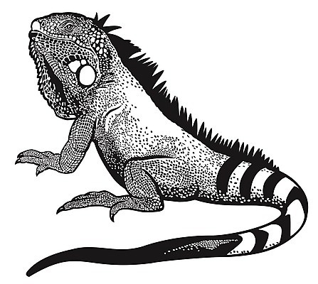 EPS 해외이미지 동물 척추동물 남자 야생동물 일러스트 파충류 자연 생물 동물원 초록색 환경 용 황무지 덩굴 숲 열대우림 대륙 흰배경 생물학 도마뱀 이구아나 서식지 남쪽 고립 동물상 해외202004 해외일러스트 식물 교육 컬러 백그라운드 사람 조형물 흰색 방향 생태계 파일형식 벡터 이미지허브