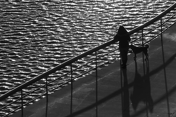 포토 JPG 해외이미지 여행 사람 풍경 사람없음 스페인 개 장면 해외202004 해외포토 유럽 포유류 파일형식 이미지허브