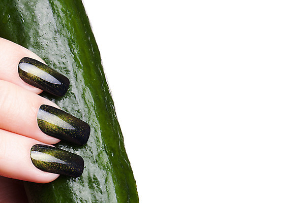 포토 JPG 해외이미지 손 여자 채소 성인 신체부위 위생관리 해외202004 해외포토 관리 사람 파일형식 이미지허브