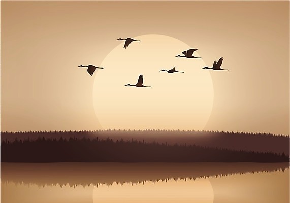 EPS 해외이미지 실루엣 호수 백그라운드 일러스트 자연 조류 풍경 물 강 반사 일몰 자유 농촌 습지 기중기 해외202004 해외일러스트 자연요소 동물 컨셉 촬영기법 노을 시골 중장비 생태계 파일형식 벡터 이미지허브