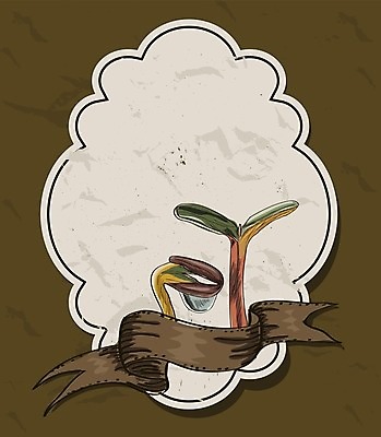 EPS 해외이미지 템플릿 계절 꽃 리본 백그라운드 스티커 일러스트 자연 여름 세트 라벨 새싹 봄 수확 시간 이슬 에코 고립 헌병 해외202004 해외일러스트 식물 농업 프레임 환경 군인 생태계 파일형식 벡터 이미지허브