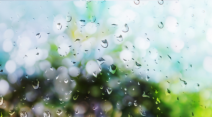 포토 JPG 해외이미지 나무 계절 백그라운드 창문 유리 따뜻함 사람없음 물 맑음 떨어짐 소프트포커스 보케 몽환 해외202004 해외포토 자연요소 식물 컨셉 재질 날씨 촬영기법 파일형식 이미지허브