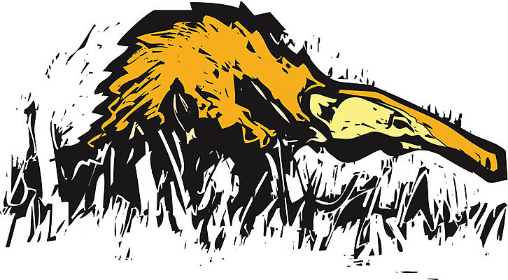 EPS 해외이미지 야생동물 일러스트 포유류 자연 남아메리카 혀 먹기 개미 해외202004 해외일러스트 동물 곤충 모션 아메리카 입 생태계 파일형식 벡터 이미지허브