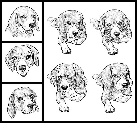 EPS 해외이미지 동물 행복 일러스트 휴식 앉기 반려동물 세트 갈색 머리 흰색 개 강아지 스케치 그림 비글 송곳니 해외202004 해외일러스트 감정 컬러 컨셉 포유류 모션 미술 신체부위 치아 파일형식 벡터 이미지허브