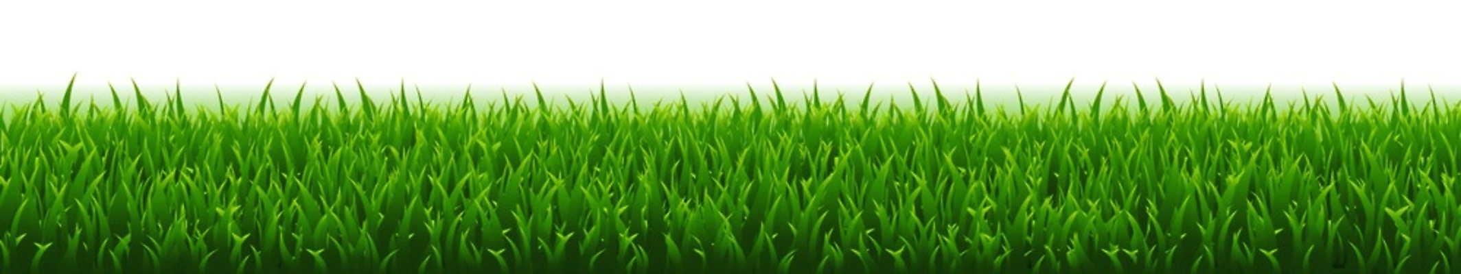 EPS 해외이미지 클립아트 모양 식물 디자인 계절 꽃 백그라운드 잎 꽃무늬 밭 일러스트 부활절 프레임 잔디 가로 초록색 여름 세트 정원 봄 흰색 신용카드 말벌 땅 수집 허브 오브젝트 그림 에코 유기농 조경 내추럴 고립 생태학 엘리먼트 해외202004 해외일러스트 웰빙 교육 기념일 컬러 무늬 농업 금융 환경 벌_곤충 파일형식 벡터 이미지허브