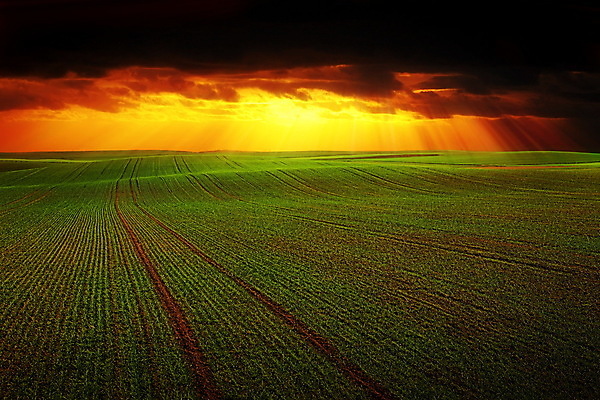 포토 JPG 해외이미지 식물 구름 계절 도로 밭 오렌지 자연 하늘 날씨 그림자 풍경 잔디 사람없음 초록색 여름 햇빛 태양 일출 계곡 맑음 검은색 어둠 황혼 일몰 봄 흰색 시골 신선 땅 폭풍 넘어짐 땅바닥 방법 웅장함 수평선 해외202004 해외포토 자연요소 길 컬러 농업 과일 교통시설 모션 바닥 노을 생태계 파일형식 이미지허브