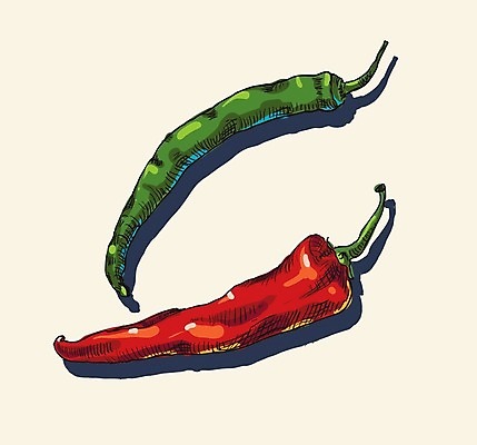 EPS 해외이미지 디자인 음식 채소 일러스트 재료 고추 멕시코 파프리카 요리 빨간색 초록색 세트 노란색 라벨 주방 식당 추위 흰색 신선 뜨거움 양념 달콤 맛 수집 먹기 심볼 향신료 사인 메뉴 흰배경 매움 후추 고립 할라피뇨 해외202004 해외일러스트 컬러 백그라운드 컨셉 북아메리카 모션 프레임 상점 향미료 파일형식 벡터 이미지허브