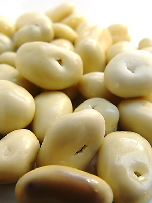 포토 JPG 해외이미지 음식 건강 사람없음 맛 먹기 건포도 요구르트 해외202004 해외포토 컨셉 모션 포도 유제품 건과일 파일형식 이미지허브