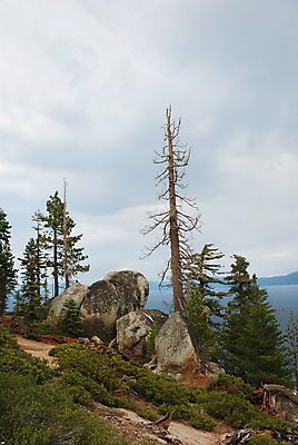 포토 JPG 해외이미지 나무 구름 호수 자연 하늘 산 풍경 사람없음 야외 초록색 물 파란색 미국 죽음 소나무 숲 캘리포니아 암초 해외202004 해외포토 자연요소 식물 컬러 북아메리카 생태계 파일형식 이미지허브
