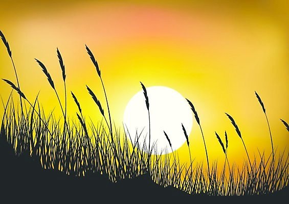 EPS 해외이미지 모양 식물 디자인 계절 실루엣 줄기 백그라운드 잎 꽃무늬 패턴 밭 일러스트 자연 추상 풍경 잔디 야외 여름 태양 일출 정원 검은색 일몰 봄 수확 성장 흰색 땅 밀 싱글 그림 조경 내추럴 고립 엘리먼트 자취 수평선 해외202004 해외일러스트 자연요소 꽃 컬러 무늬 농업 곡류 촬영기법 노을 생태계 파일형식 벡터 이미지허브