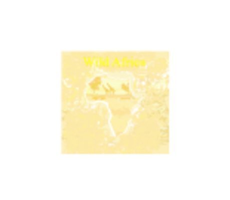 EPS 해외이미지 나무 식물 동물 공원 실루엣 종이 야생동물 여행 백그라운드 일러스트 포유류 아프리카 자연 하늘 추상 휴가 생물 풍경 여름 햇빛 태양 검은색 일몰 새벽 사막 신용카드 먹이 기린 사파리 육식동물 케냐 스카이라인 남쪽 아카시아 그런지 해외202004 해외일러스트 자연요소 계절 공공시설 나라 컬러 무늬 촬영기법 금융 노을 방향 생태계 파일형식 벡터 이미지허브