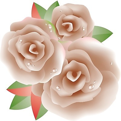 EPS 해외이미지 식물 디자인 계절 기념일 꽃잎 꽃 줄기 백그라운드 잎 꽃무늬 패턴 데이트 일러스트 자연 추상 프레임 발렌타인데이 선물 사랑 미술 장식 빨간색 초록색 여름 장미 검은색 봄 벚꽃 흰색 축하 신선 우아함 닫기 심볼 오브젝트 싱글 열정 고립 그런지 해외202004 해외일러스트 감정 컬러 컨셉 무늬 모션 데이이벤트 문화예술 이벤트 생태계 파일형식 벡터 이미지허브