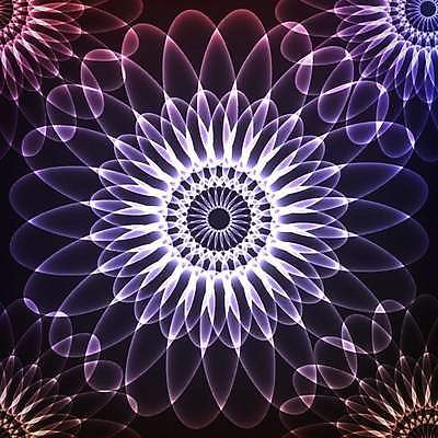 EPS 해외이미지 모양 템플릿 디자인 꽃잎 꽃 행복 별 파도 백그라운드 컨셉 꽃무늬 일러스트 자연 벽지 하늘 추상 새로움 프레임 미술 그래픽 장식 파란색 빛 3D 우주 검은색 어둠 흰색 원형 신용카드 신비 만다라 스타일 해외202004 해외일러스트 자연요소 도형 식물 감정 바다 컬러 무늬 문화예술 금융 디지털합성 생태계 파일형식 벡터 이미지허브