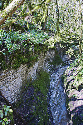 포토 JPG 해외이미지 나무 식물 손 계절 잎 자연 손잡이 이끼 사람없음 야외 초록색 울타리 상자 정원 봄 성장 칼날 닫기 발굴 원예 클립 날카로움 다듬기 돌봄 옛날 울퉁불퉁 원예사 제목 그리너리 해외202004 해외포토 직업 컬러 모션 취미 신체부위 담장 생태계 파일형식 트랜드컬러 이미지허브