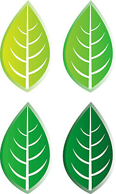 EPS 해외이미지 식물 디자인 컨셉 단풍 잎 일러스트 자연 아이디어 사람없음 장식 초록색 세트 새싹 성장 나뭇가지 우아함 오브젝트 뿌리 내추럴 모종 해외202004 해외일러스트 나무 컬러 생태계 파일형식 벡터 이미지허브