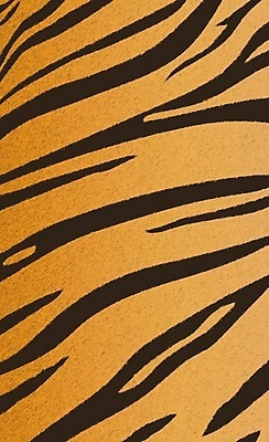 EPS 해외이미지 동물 디자인 야생동물 백그라운드 패턴 오렌지 일러스트 포유류 자연 벽지 추상 털 미술 장식 검은색 고양이 줄무늬 호랑이 인쇄 가죽 피부 질감 얼룩말 스타일 해외202004 해외일러스트 컬러 무늬 과일 문화예술 신체부위 반려동물 말_동물 생태계 파일형식 벡터 이미지허브