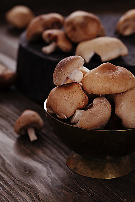 포토 JPG 해외이미지 식물 계절 음식 백그라운드 다이어트 채소 재료 자연 탁자 건강 요리 사람없음 목재 가로 갈색 주방 식사 저녁식사 버섯 수확 가을 흰색 신선 그룹 맛 숲 자르기 먹기 준비 유기농 날것 내추럴 곰팡이 숙성 식용 채식주의자 해외202004 해외포토 나무 웰빙 컬러 가구 컨셉 농업 모션 생태계 채식 파일형식 이미지허브