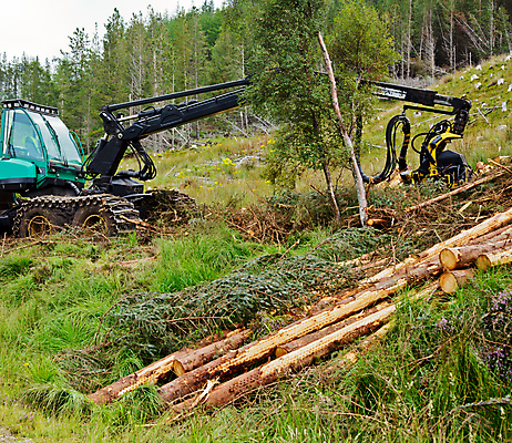포토 JPG 해외이미지 나무 직업 산업 부분 자연 사람없음 야외 목재 환경 기계 장비 수확 잡기 소나무 업무 떨어짐 숲 자르기 기중기 통나무 트랙터 팔 무거움 전나무 자원 잡동사니 적재 벌목 수목 의무 톱질 스코틀랜드 해외202004 해외포토 식물 컨셉 농업 재료 모션 영국 신체부위 작업 중장비 무게 농기계 생태계 특수차량 파일형식 이미지허브