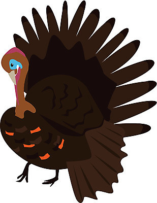 EPS 해외이미지 동물 오렌지 일러스트 조류 육류 갈색 수확 가을 9월 11월 잔치 추수감사절 칠면조 10월 해외202004 해외일러스트 계절 기독교 컬러 농업 과일 식재료 날짜 파일형식 벡터 이미지허브