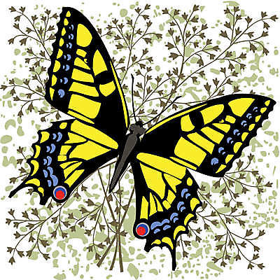 EPS 해외이미지 모양 식물 동물 나비 백그라운드 잎 꽃무늬 패턴 곡선 일러스트 자연 벽지 그래픽 장식 초록색 여름 봄 소용돌이 나뭇가지 우아함 두루마리 질감 내추럴 그런지 엘리먼트 해외202004 해외일러스트 나무 계절 꽃 선 컬러 곤충 컨셉 무늬 회오리 생태계 파일형식 벡터 이미지허브