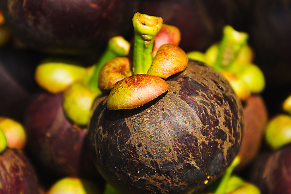 포토 JPG 해외이미지 아시아 음식 백그라운드 채소 과일 태국 건강 동양인 사람없음 빨간색 초록색 컬러풀 세일 신선 시장 달콤 맛 유기농 눈금 방콕 내추럴 이국적 해외202004 해외포토 웰빙 나라 컬러 컨셉 인종 파일형식 이미지허브