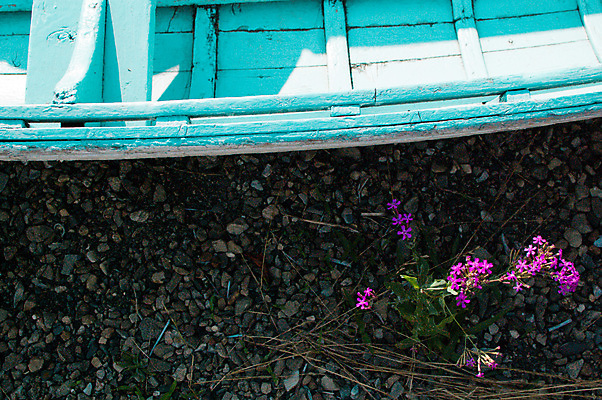 포토 JPG 해외이미지 꽃 지구 여행 자연 하늘 휴가 풍경 사람없음 야외 파란색 태양 일본 회색 보트 도쿄 방문 해외202004 해외포토 자연요소 식물 아시아 컬러 배_교통 생태계 파일형식 이미지허브