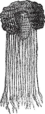 EPS 해외이미지 헤어스타일 패턴 일러스트 이집트 미술 사람 유행 검은색 수확 골동품 흰색 역사 가발 그림 복고 판화 거짓 옛날 인공 스타일 해외202004 해외일러스트 컬러 무늬 농업 아프리카 문화예술 파일형식 벡터 이미지허브