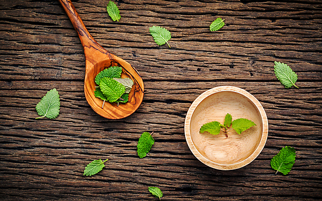 포토 JPG 해외이미지 사람없음 오브젝트 아로마 아로마테라피 나무숟가락 나무그릇 애플민트 해외202004 해외포토 그릇 목재 숟가락 민트 테라피 파일형식 이미지허브