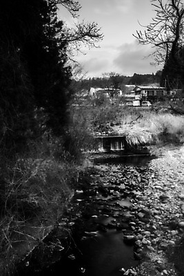 포토 JPG 해외이미지 아시아 여행 자연 휴가 풍경 사람없음 관광지 빛 일본 고요 내추럴 해외202004 해외포토 나라 생태계 파일형식 이미지허브