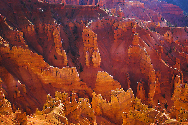 포토 JPG 해외이미지 나무 식물 공원 지구 모래 여행 오렌지 자연 하늘 휴가 산 풍경 사람없음 야외 빨간색 파란색 컬러풀 노란색 골짜기 계곡 사막 자유 소나무 숲 탈출 오르기 먼지 사암 멀리 천연기념물 단절 삼나무 지질학 콜로라도 특별함 해외202004 해외포토 공공시설 교육 컬러 컨셉 과일 모션 미국 돌_바위 생태계 파일형식 이미지허브
