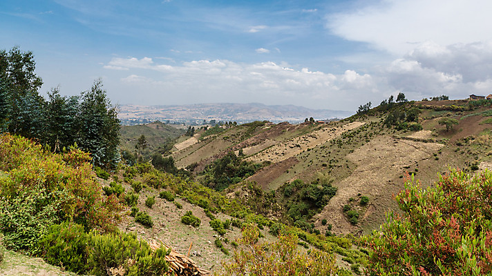 포토 JPG 해외이미지 나무 식물 호수 아프리카 자연 산 풍경 사람없음 초록색 물 언덕 분화구 내추럴 에티오피아 해외202004 해외포토 자연요소 나라 컬러 생태계 화산 파일형식 이미지허브