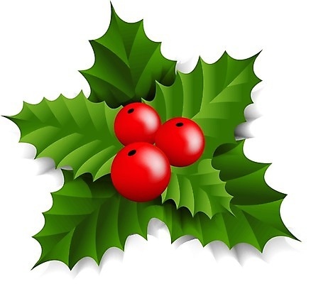 EPS 해외이미지 계절 열매 행복 벽 백그라운드 잎 크리스마스 일러스트 휴가 새해 프레임 미술 장식 빨간색 초록색 축제 화환 수확 축하 인사 신용카드 우아함 엽서 초대 침엽수 옛날 완벽 해외202004 해외일러스트 나무 식물 기념일 꽃 감정 컬러 컨셉 농업 문화예술 금융 예절 편지 파일형식 벡터 이미지허브