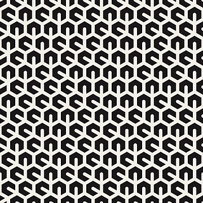 EPS 해외이미지 모양 템플릿 디자인 선 백그라운드 패턴 일러스트 벽지 표면 추상 세포 그래픽 장식 검은색 웹 덮개 흰색 직물 인쇄 타일 질감 심플 모자이크 육각형 대각선 엘리먼트 포장소품 혼란 불규칙 해외202004 해외일러스트 도형 컬러 컨셉 무늬 인터넷 포장 뚜껑 오브젝트 포장재료 파일형식 벡터 이미지허브