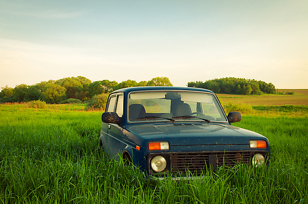 포토 JPG 해외이미지 주간 자동차 사람없음 야외 복고 풀숲 해외202004 해외포토 자연요소 육상교통 숲 파일형식 이미지허브