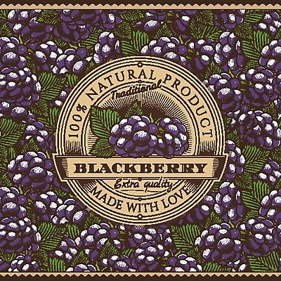 EPS 해외이미지 클립아트 전통 열매 음식 백그라운드 패턴 과일 일러스트 포장 자연 그래픽 장식 파란색 농장 꼬리표 라벨 식당 주스 수확 시장 맛 상품 잼 자르기 먹기 그림 유기농 복고 블루베리 배지 판화 통조림 블랙베리 내추럴 목판화 생태학 월귤 채식주의자 해외202004 해외일러스트 식물 웰빙 교육 음료 컬러 컨셉 무늬 농업 모션 프레임 미술 상점 소스_음식 생태계 채식 파일형식 벡터 이미지허브