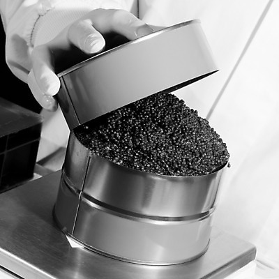 포토 JPG 해외이미지 직업 산업 공장 실내 어류 안전 사람 상반신 사람없음 앞치마 흰색 작업 고급 보호 유혹 순수 준비 심플 충동구매 위생관리 캐비아 해외202004 해외포토 컬러 컨셉 식재료 공업 관리 내부 쇼핑 수중동물 과소비 파일형식 이미지허브