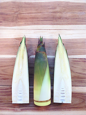 포토 JPG 해외이미지 단면 실내 사람없음 하이앵글 자르기 죽순 나무배경 해외202004 해외포토 뷰포인트 백그라운드 모션 내부 파일형식 이미지허브