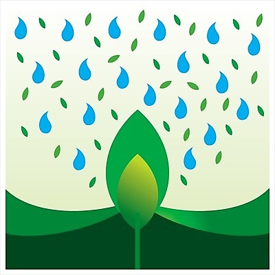 EPS 해외이미지 나무 식물 일러스트 자연 씨앗 사람없음 초록색 물 픽토그램 물방울 원예 물뿌리기 해외202004 해외일러스트 자연요소 컬러 모션 취미 생태계 파일형식 벡터 이미지허브