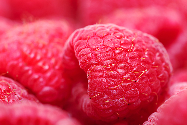 포토 JPG 해외이미지 식물 열매 음식 백그라운드 다이어트 과일 건강 사람없음 빨간색 신선 달콤 맛 잼 먹기 묘사 산딸기 내추럴 숙성 디테일 해외202004 해외포토 컬러 컨셉 모션 소스_음식 파일형식 이미지허브