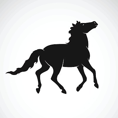 EPS 해외이미지 동물 1 디자인 실루엣 스포츠 포즈 백그라운드 일러스트 포유류 모션 자연 사람없음 그래픽 달리기 농장 검은색 경쟁 자유 흰색 승마 우아함 승차 만화 심볼 순수 사인 속도 싱글 그림 윤곽 조랑말 수의사 로데오 고립 마스코트 혼자 해외202004 해외일러스트 컬러 컨셉 농업 촬영기법 의사 말 생태계 파일형식 벡터 산업 의료진 직업 의학 이미지허브
