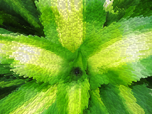 포토 JPG 해외이미지 식물 문화 백그라운드 잎 농업 채소 자연 추상 사람없음 초록색 여름 새싹 우주 환경 정원 봄 성장 신선 허브 원예 질감 내추럴 광합성 모종 밭일 생태학 세련 해외202004 해외포토 계절 교육 산업 컬러 무늬 취미 생태계 파일형식 이미지허브