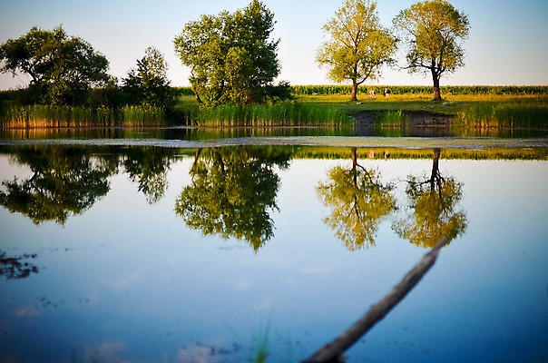 포토 JPG 해외이미지 나무 구름 계절 호수 여행 백그라운드 잎 자연 바람 휴가 그림자 풍경 사람없음 야외 초록색 물 여름 파란색 컬러풀 햇빛 반사 평화 환경 침묵 일몰 거울 하이킹 가을 연못 신선 숲 내추럴 현재 가문비나무 해외202004 해외포토 자연요소 식물 컬러 컨셉 레저 날씨 태양 노을 소리 생태계 파일형식 이미지허브