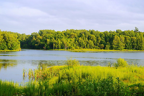 포토 JPG 해외이미지 나무 호수 파도 잎 자연 하늘 표면 풍경 사람없음 야외 초록색 물 여름 파란색 햇빛 반사 환경 침묵 자유 시골 숲 땅 장면 멀리 내추럴 해외202004 해외포토 자연요소 식물 계절 바다 컬러 컨셉 태양 소리 생태계 파일형식 이미지허브