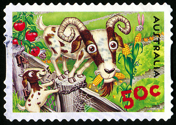 포토 JPG 해외이미지 동물 얼굴 어린이 농업 포유류 자연 봉투 염소 털 뿔 사람없음 야외 초록색 농장 머리 가축 수확 시골 메시지 역사 호주 물개 만화 편지 코 복고 엽서 우표 옛날 해외202004 해외포토 산업 컬러 사람 신체부위 바다동물 오세아니아 생태계 파일형식 이미지허브