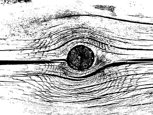 EPS 해외이미지 나무 디자인 외관 벽 가구 백그라운드 패턴 일러스트 자연 벽지 탁자 표면 추상 바닥 목재 장식 어둠 수확 소나무 판넬 거친 널 낟알 책상 질감 목공예 잡동사니 내추럴 그런지 수목 옛날 파케트 해외202004 해외일러스트 식물 생활용품 무늬 농업 재료 공예 생태계 파일형식 벡터 이미지허브